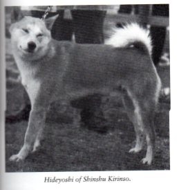 10 Hideyoshi of Shinshu Kirinso