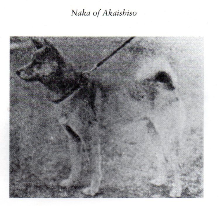 1Naka of Akaishiso